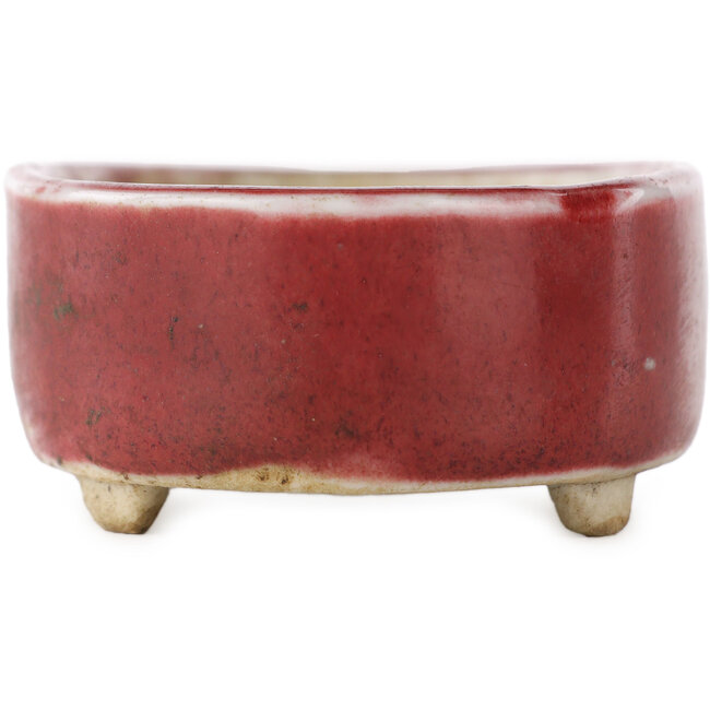 Pot à bonsaï ovale rouge - 77 x 54 x 25 mm