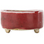 Ovaler roter Bonsaitopf - 77 x 54 x 25 mm