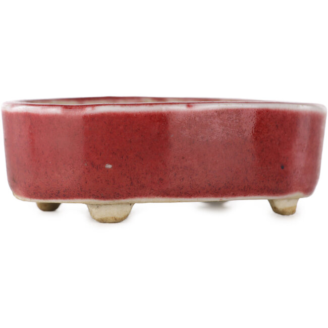 Vaso bonsai ovale rosso - 77 x 54 x 25 mm