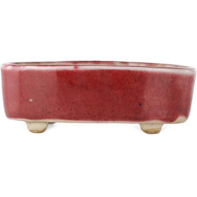 Vaso bonsai ovale rosso - 77 x 54 x 25 mm