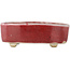 Oval red bonsai pot - 77 x 54 x 25 mm