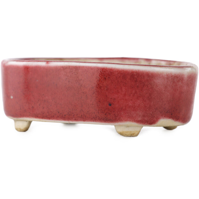 Vaso bonsai ovale rosso - 77 x 54 x 25 mm