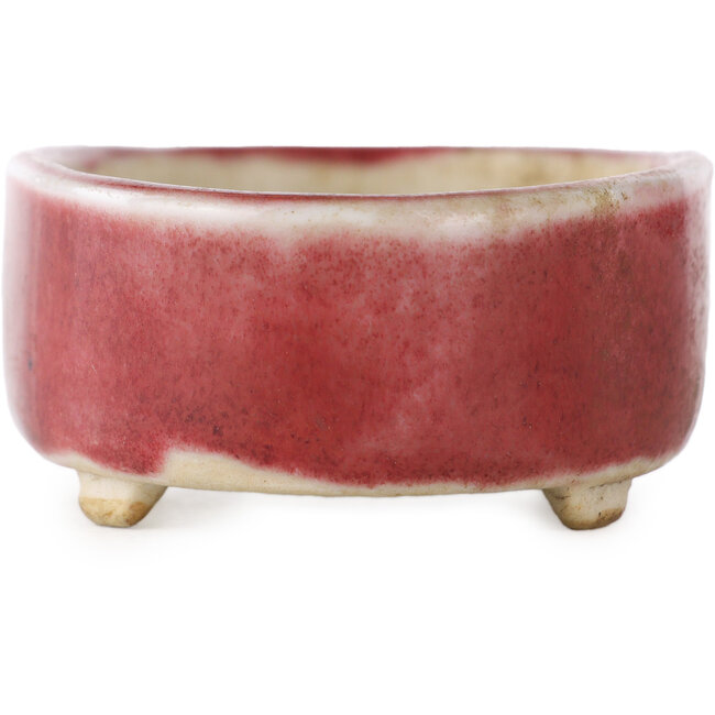 Vaso bonsai ovale rosso - 77 x 54 x 25 mm