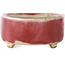 Pot à bonsaï ovale rouge - 77 x 54 x 25 mm