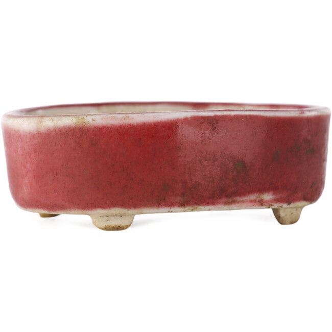 Ovale rode bonsai pot - 77 x 54 x 25 mm