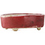 Pot à bonsaï ovale rouge - 77 x 54 x 25 mm