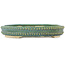 Pot à bonsaï rond vert par Echizen - 263 x 263 x 45 mm