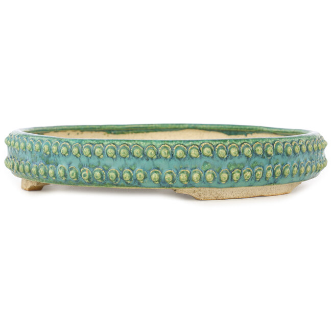 Round green bonsai pot by Echizen - 230 x 230 x 40 mm