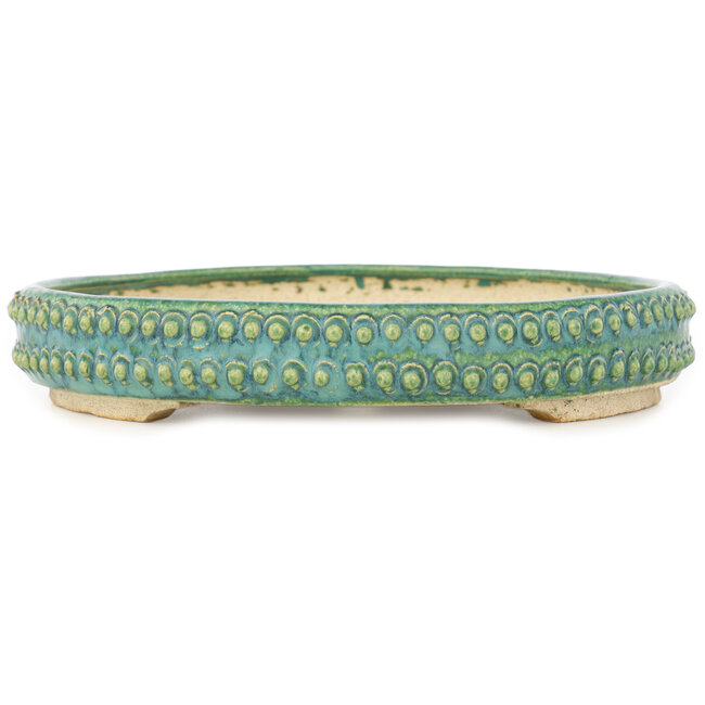 Pot à bonsaï rond vert par Echizen - 230 x 230 x 40 mm