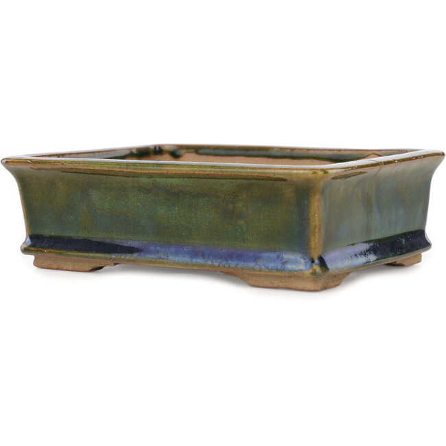 Vaso bonsai rettangolare verde di Echizen - 145 x 115 x 45 mm
