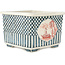 Square multicolor bonsai pot by Echizen - 135 x 130 x 100 mm