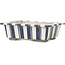 Rectangular white and blue bonsai pot by Echizen - 120 x 95 x 40 mm