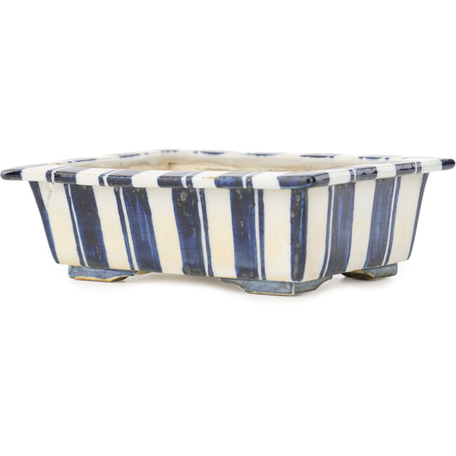 Maceta rectangular para bonsái de color blanco y azul de Echizen - 120 x 95 x 40 mm