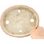 Vaso bonsai ovale bianco e rosso di Echizen - 190 x 160 x 30 mm