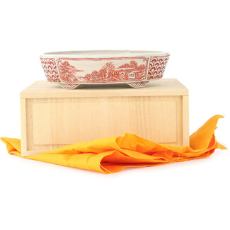  Echizen Hosui 150 mm oval white and red  bonsai pot by Echizen, Japan