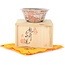 Vaso bonsai rotondo bianco e rosso di Echizen - 112 x 112 x 50 mm
