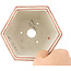 Maceta hexagonal para bonsái en blanco y rojo de Echizen - 110 x 110 x 52 mm