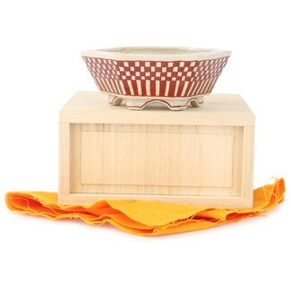  Echizen Hosui Maceta hexagonal de bonsái de color blanco y rojo de 92 mm de Echizen, Japón