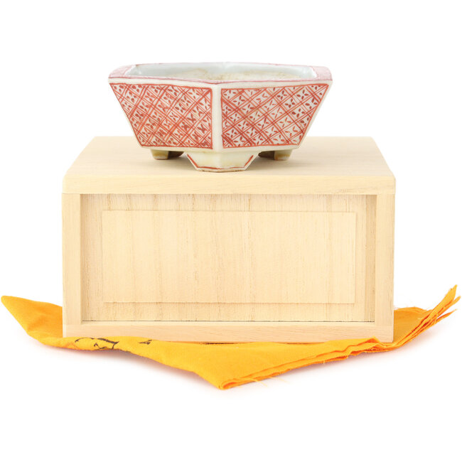 Hexagonal white and red bonsai pot by Echizen - 95 x 95 x 33 mm