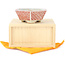 Hexagonal white and red bonsai pot by Echizen - 95 x 95 x 33 mm