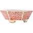 Maceta hexagonal para bonsái en blanco y rojo de Echizen - 95 x 95 x 33 mm