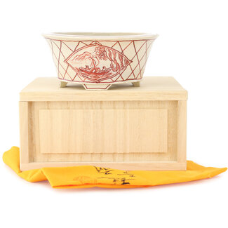  Echizen Hosui Vaso bonsai rotondo bianco e rosso da 90 mm di Echizen, Giappone