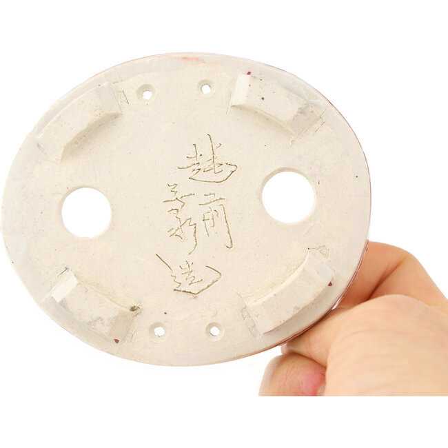 Pot à bonsaï ovale blanc et rouge par Echizen - 93 x 73 x 19 mm