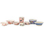 Set vaso bonsai bianco e multicolore di Echizen - 80 x 80 x 30 mm