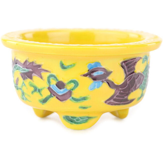 Round yellow multicolor bonsai pot by Syoami - 50 x 50 x 27 mm