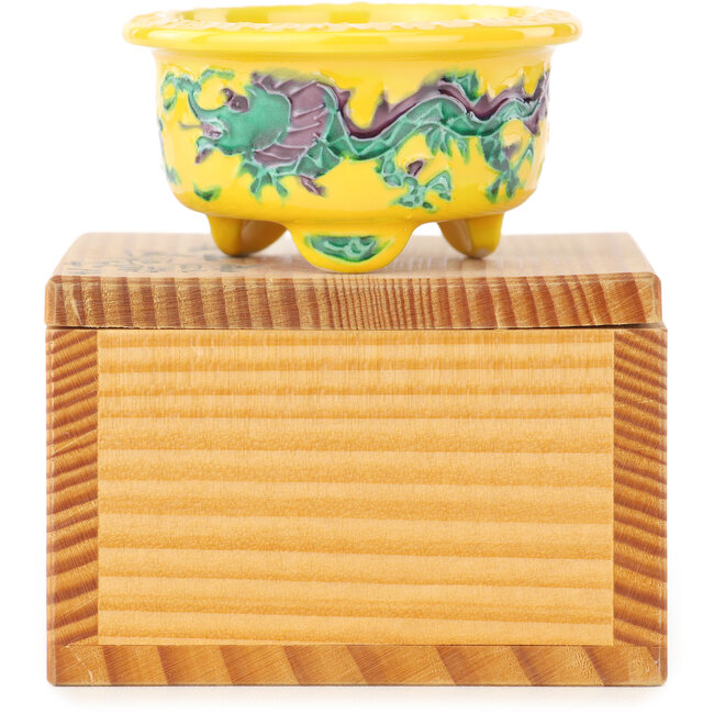 Pot à bonsaï rond multicolore jaune de Syoami - 50 x 50 x 27 mm