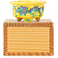 Pot à bonsaï rond multicolore jaune de Syoami - 50 x 50 x 27 mm
