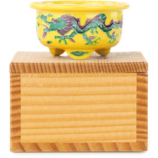 Syoami Pot à bonsaï rond multicolore jaune de 50 mm par Syoami, Japon