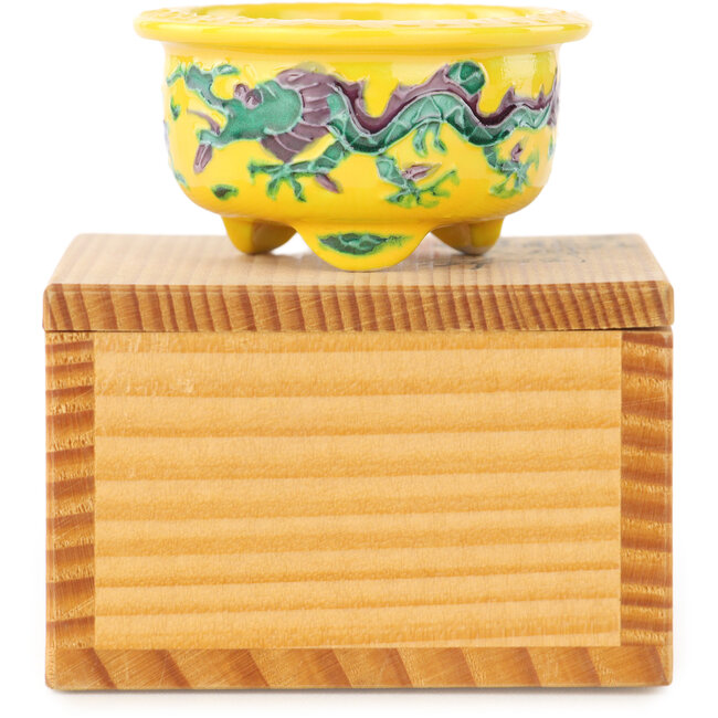 Pot à bonsaï rond multicolore jaune de Syoami - 50 x 50 x 27 mm