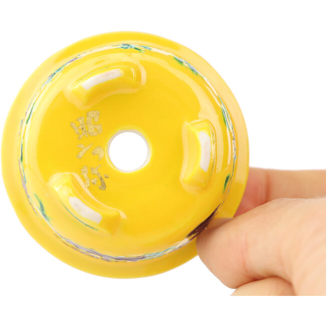 Pot à bonsaï rond multicolore jaune de Syoami - 50 x 50 x 27 mm