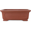 Pot à bonsaï rectangulaire non émaillé de Shibakatsu - 195 x 152 x 65 mm