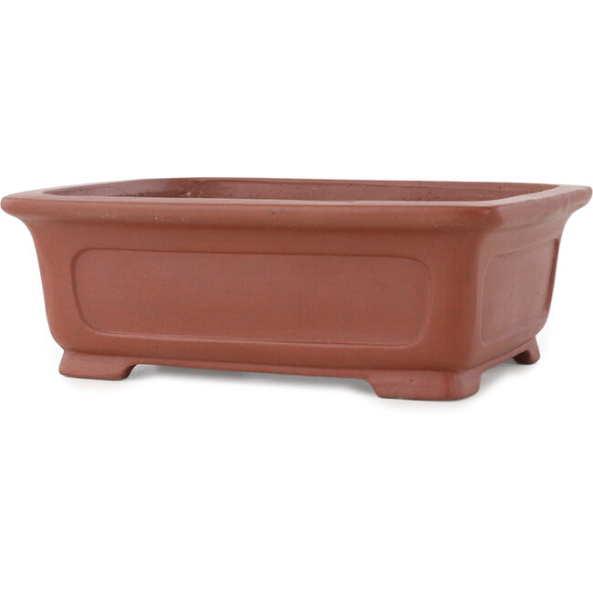 Vaso bonsai rettangolare non smaltato di Shibakatsu - 195 x 152 x 65 mm