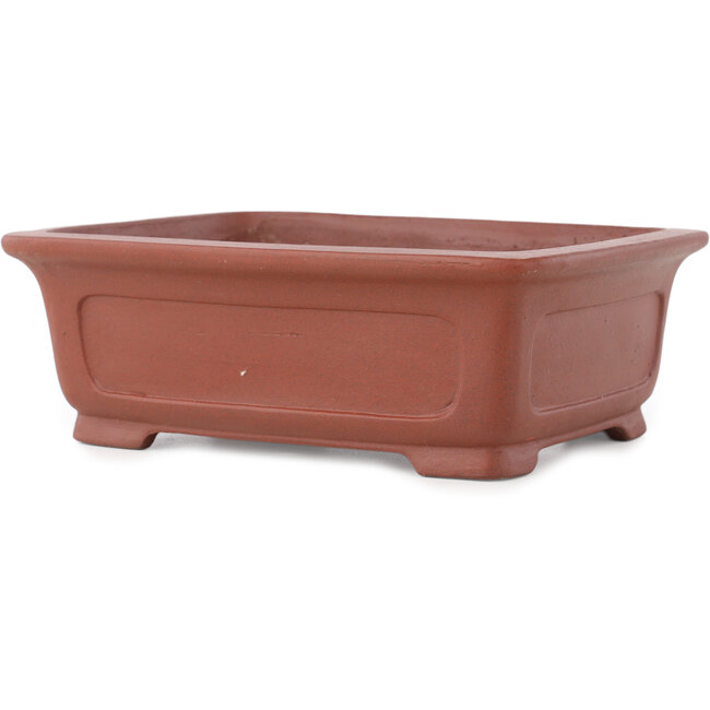 Vaso bonsai rettangolare non smaltato di Shibakatsu - 195 x 152 x 65 mm