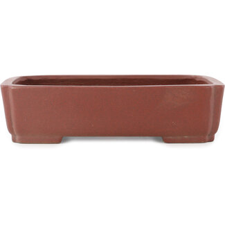  Shibakatsu (Katsuichi Shibata) Vaso bonsai rettangolare non smaltato da 210 mm di Shibakatsu, Tokoname, Giappone