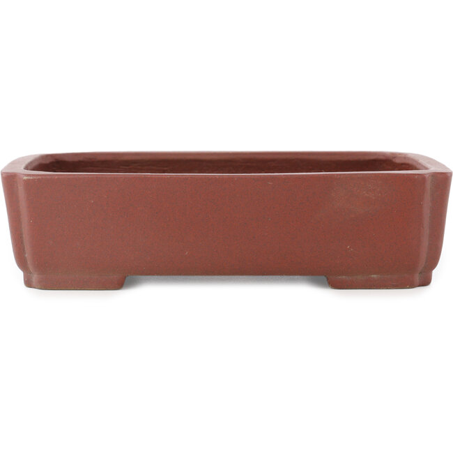 Maceta rectangular sin esmaltar para bonsái de Shibakatsu - 210 x 155 x 52 mm