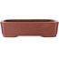 Maceta rectangular sin esmaltar para bonsái de Shibakatsu - 210 x 155 x 52 mm