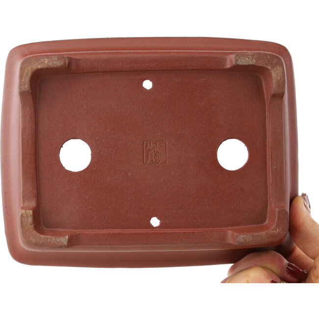 Rectangular unglazed bonsai pot by Shibakatsu - 195 x 152 x 65 mm
