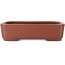 Maceta rectangular sin esmaltar para bonsái de Shibakatsu - 210 x 155 x 52 mm