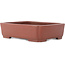 Maceta rectangular sin esmaltar para bonsái de Shibakatsu - 210 x 155 x 52 mm