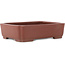 Maceta rectangular sin esmaltar para bonsái de Shibakatsu - 210 x 155 x 52 mm