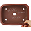 Maceta rectangular sin esmaltar para bonsái de Shibakatsu - 210 x 155 x 52 mm