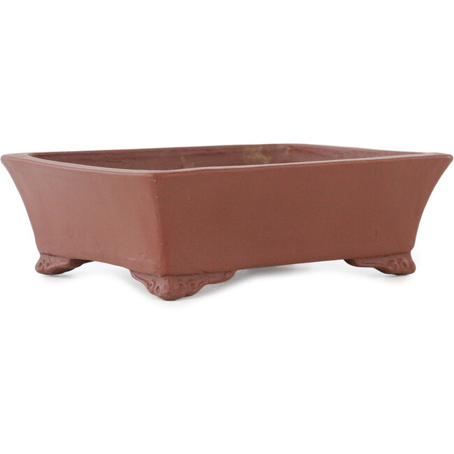 Vaso bonsai rettangolare non smaltato di Shibakatsu - 185 x 145 x 57 mm