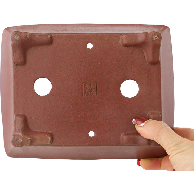 Pot à bonsaï rectangulaire non émaillé de Shibakatsu - 185 x 145 x 57 mm