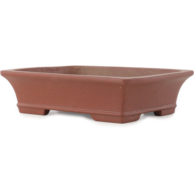 Vaso bonsai rettangolare non smaltato di Shibakatsu - 190 x 142 x 50 mm
