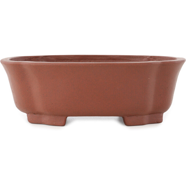 Vaso bonsai Mokko non smaltato di Shibakatsu - 187 x 160 x 63 mm