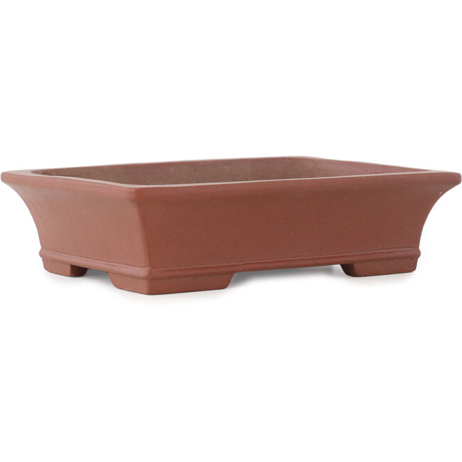 Vaso bonsai rettangolare non smaltato di Shibakatsu - 190 x 142 x 50 mm